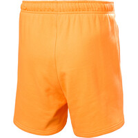 Helly Hansen bermudas hombre HH TERRY LOOP 6 SHORTS 04