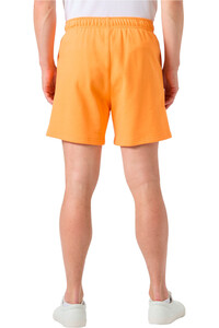 Helly Hansen bermudas hombre HH TERRY LOOP 6 SHORTS vista trasera