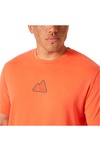 Helly Hansen camiseta montaña manga corta hombre SKOG GRAPHIC T-SHIRT vista detalle