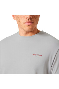 Helly Hansen camiseta montaña manga corta hombre SKOG GRAPHIC T-SHIRT vista detalle