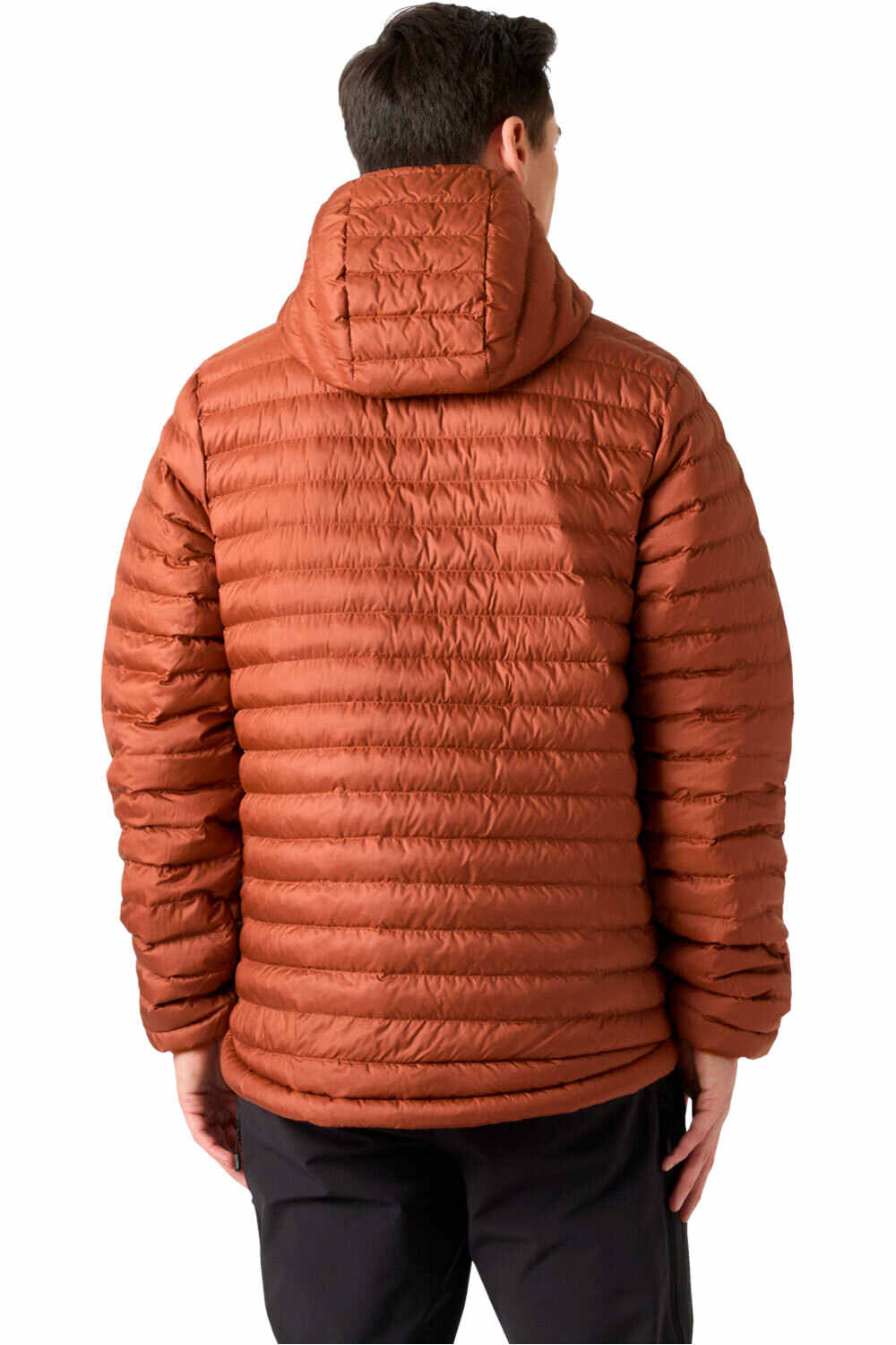 Helly Hansen chaqueta outdoor hombre SIRDAL HOODED INSULATOR vista trasera
