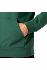 Helly Hansen chaquetas hombre CORE GRAPHIC HOODIE 03