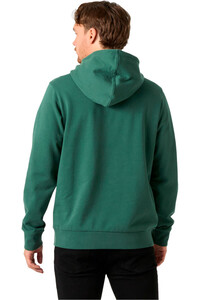 Helly Hansen chaquetas hombre CORE GRAPHIC HOODIE vista trasera