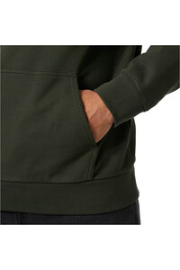 Helly Hansen sudadera hombre CORE GRAPHIC HOODIE 03