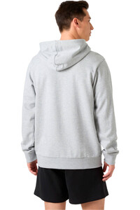 Helly Hansen sudadera hombre CORE GRAPHIC HOODIE vista trasera