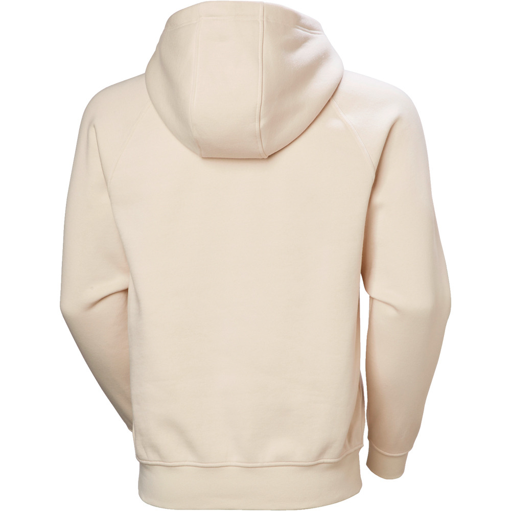 Helly Hansen sudadera hombre ELEVATE HOODIE 05