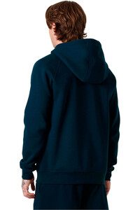 Helly Hansen sudadera hombre ELEVATE HOODIE vista trasera