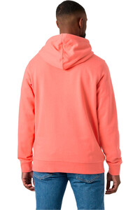 Helly Hansen sudadera hombre HH BOX HOODIE vista trasera
