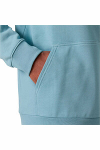 Helly Hansen sudadera hombre HH LOGO HOODIE 03