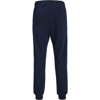 J&J pantalón hombre JPSTGORDON BRADLEY SWEAT PANT NOOS 05