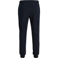 J&J pantalón hombre JPSTGORDON MAKOTO vista trasera