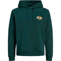 JJAERO SWEAT HOOD small print