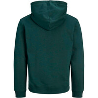 J&J sudadera hombre JJAERO SWEAT HOOD small print vista trasera