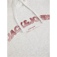 J&J sudadera hombre JJAVERY SWEAT HOOD vista detalle