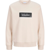 J&J sudadera hombre JJBUSTER SWEAT CREW NECK BTS vista frontal