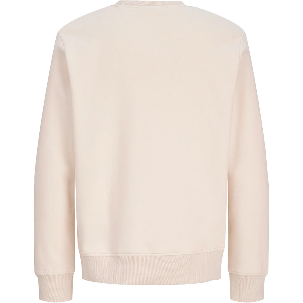 J&J sudadera hombre JJBUSTER SWEAT CREW NECK BTS vista trasera
