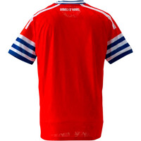 Kelme camiseta de fútbol oficiales ESPAOL 27 AW JSY RO vista trasera