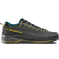 TX4 EVO GORE-TEX