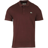 polo entry