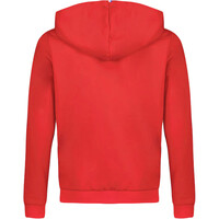 Le Coq Sportif sudadera niño TRI FZ Hoody N1 Enfant vista trasera