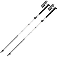 Leki Baston Trail PAR-SKYTERA FX CARBON SL vista frontal