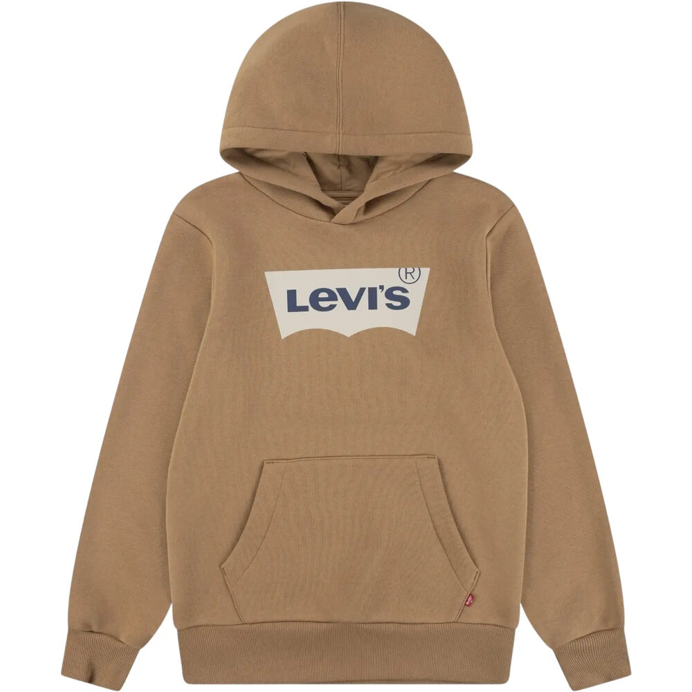 Levi'S sudadera niño LVB BATWING SCREENPRINT HOODIE vista frontal