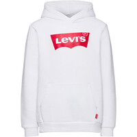 LVB-BATWING SCREENPRINT HOODIE
