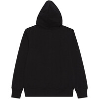 Levi'S sudadera niño LVB-BATWING SCREENPRINT HOODIE vista trasera