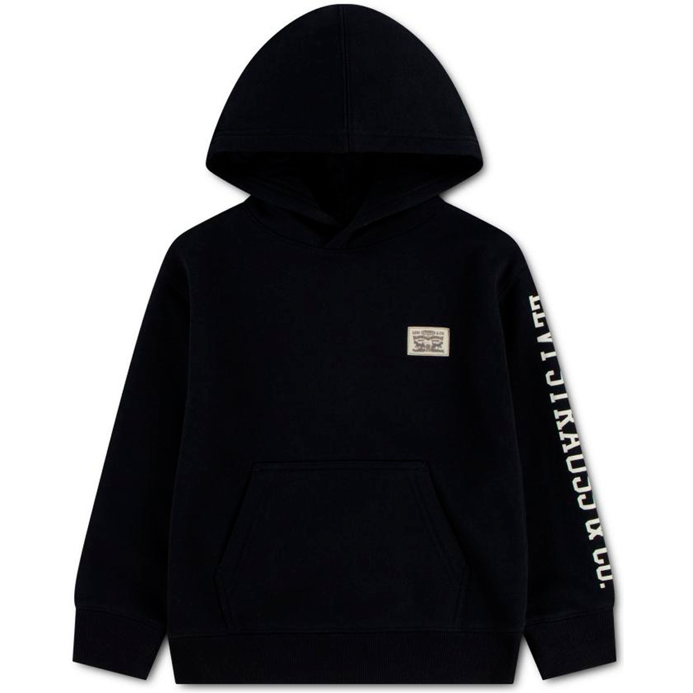 Levi'S sudadera niño LVB SLEEVE HIT HOODIE vista frontal