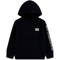 Levi'S sudadera niño LVB SLEEVE HIT HOODIE vista frontal