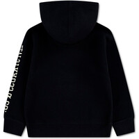 Levi'S sudadera niño LVB SLEEVE HIT HOODIE vista trasera