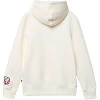 Levi'S sudadera niño LVB THE GREAT HIGHWAY HOODIE vista trasera
