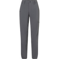 Wm's Trailway Pant