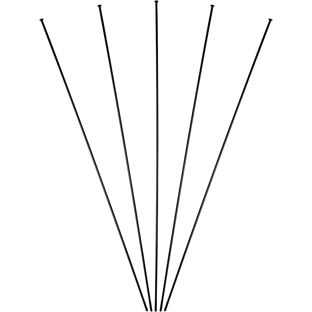 Massi respuestos y accesorios rueda PACK 5 RADIO+TUERCA PROTOUR EVO DB 294MM vista frontal