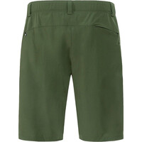 Montura pantalón corto montaña hombre WALK BERMUDA 06