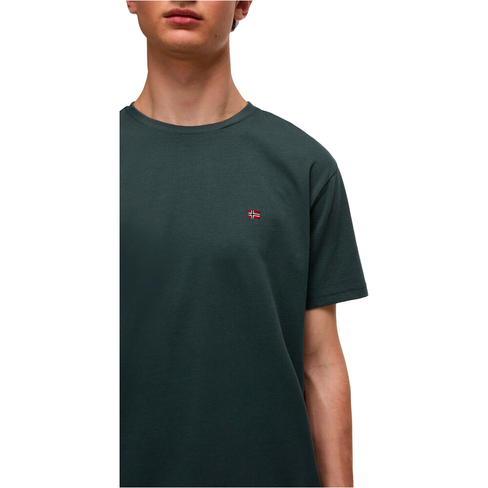 Napapijri camiseta manga corta hombre SALIS SS SUM vista detalle