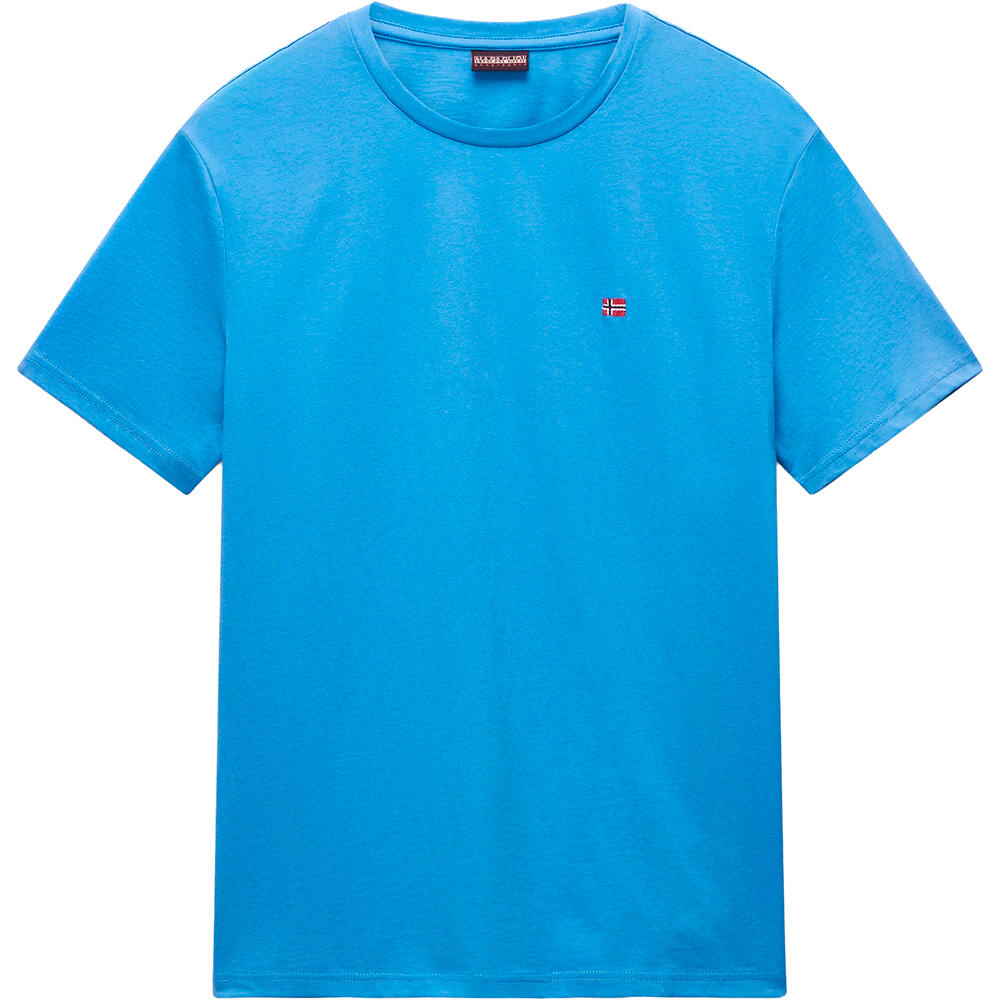 Napapijri camiseta manga corta hombre SALIS SS SUM vista detalle