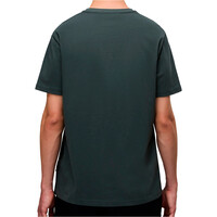 Napapijri camiseta manga corta hombre SALIS SS SUM vista trasera