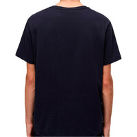 Napapijri camiseta manga corta hombre SALIS SS SUM vista trasera