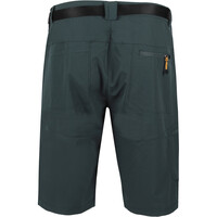 Neak Peak pantalón corto montaña hombre NEALIS SF vista trasera