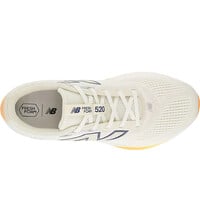 New Balance zapatilla running hombre Fresh Foam 520 v9 vista trasera