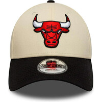 New Era gorras baloncesto CHICAGO BULLS vista trasera