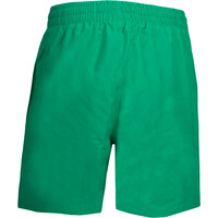 Nike bañador playa niño 4 VOLLEY SHORT vista trasera