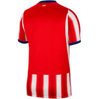 Nike camiseta de fútbol oficiales AT.MADRID 27 M NK DF JSY SS STAD HM 06