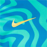 Nike camiseta de fútbol oficiales BRASIL 26 M NK DF ACDPR SS PM TOP 03