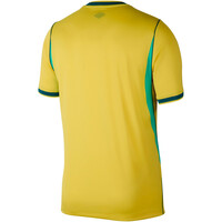 Nike camiseta de fútbol oficiales BRASIL 26 M NK DF JSY SS STAD HM 06