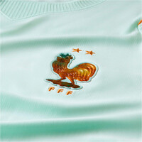 Nike camiseta de fútbol oficiales FRANCIA 26 M NK DF JSY SS STAD AW vista detalle
