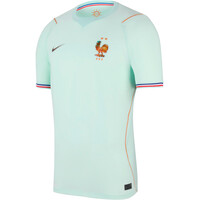 Nike camiseta de fútbol oficiales FRANCIA 26 M NK DF JSY SS STAD AW vista frontal
