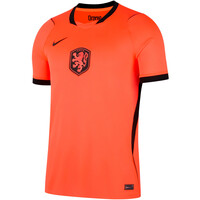 Nike camiseta de fútbol oficiales HOLANDA 26 M NK DF JSY SS STAD HM 05