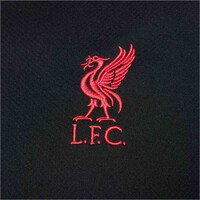 Nike camiseta de fútbol oficiales LIVERPOOL 25 M NK DF STRK SS TOP K SE 03